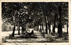 CPA Ales Promenade Des Platanes