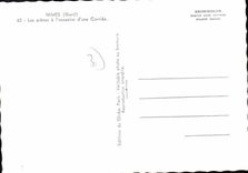 CPSM Nimes Les Arenes A I'Occasion D'Une Corrida