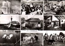 CPSM  En Camargue Eglise Des Stes Marles Promenade De La Scones Gitanes