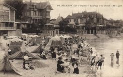 CPA Arcachon La Plage Et Les Chalets