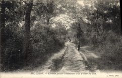 CPA Arcachon Chemin Paillee Conduisant A La Pointe Du Sud