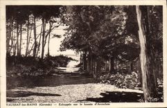 CPA Taussat Les Bains Echappee Sur Le Bassin D'Arcachon