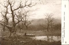 CPA  Paul Rue Chataigneraie En Novembre Anzeme salon 1914