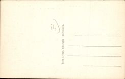 CPA Castelnaud Le Village Et Le Chateau