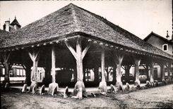 CPA Nolay Les Halles Monument Historique