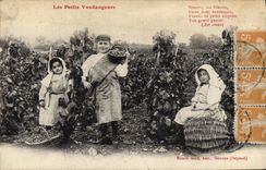 CPA Les Petits Vendangeurs Ninette Ma Ninette