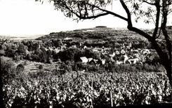 CPA Savigny Les Beaune Vue Generale