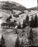 CPSM Les Rousses Haut Jura Route de Morez aux Rousses 