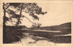 CPA Hossegor Bord du Lac Les Pins 