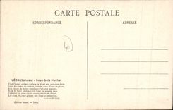 CPA Leon Landes Sous Bois Huchet 