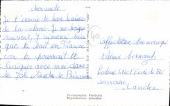 CPA Souvenir de Biscarrosse Landes