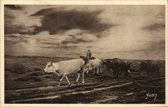 CPA La Douce France Les Landes de En rase lande Le Retour 