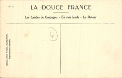 CPA La Douce France Les Landes de En rase lande Le Retour 