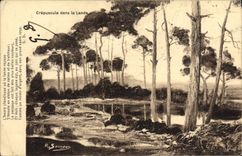 CPA Crepuscule dans la Lande 