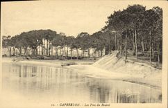 CPA Capbreton Les Pins du Bouret 