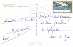 CPA Paysage Landais La Foret Saignee du Pin