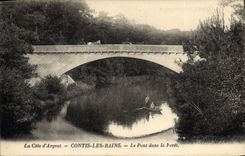 CPA La Cote d'Argent Contis Les Bains Le Pont dans la Foret 