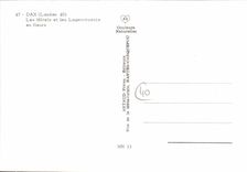 CPSM Dax Landes Les Hotels et les Lagerstroenia en fleurs 