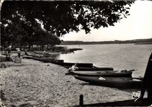 CPSM Leon Landes Un Cote du Lac 