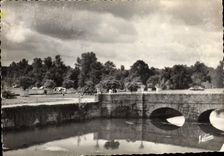 CPSM Les Merveilles du val de loire Avaray Loir et Cher 