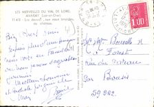 CPSM Les Merveilles du val de loire Avaray Loir et Cher