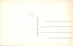 CPA Aix en Provence La Fontaine des Dauphins et l'Eglise Saint Jean de Maite 