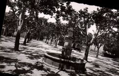 CPA Charleval Bouches du Rhone Cours de la Republique 