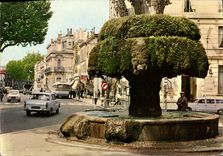 CPSM Salon de Provence B du R La Fontaine moussue 