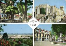 CPSM Souvenir de Salon 