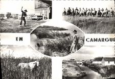 CPSM En Camargue Le jeu du Lasso Gardians 