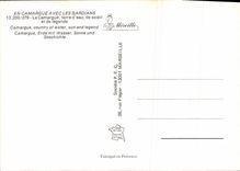 CPSM La Camargue En Camargue A vec les Gardians 