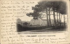 CPA Cabourg Le Grand Hotel a travers les Pins 