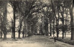 CPA Caen L'Hotel Dieu Le parc allee centrale 