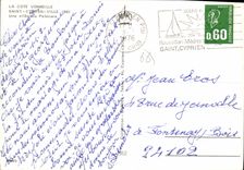 CPSM La Cote Vermeille Saint Cyprien Vile Une allee de Palmiers