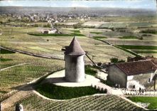 CPSM Romaneche Thorins Moulin a Vent Vue générale
