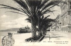 CPA NICE Promenade du Midi 