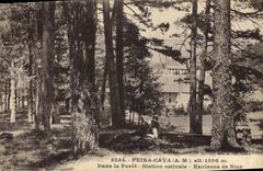 CPA PEIRA CAVA Dans la Foret Station estivale 