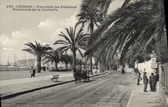 CPA CANNES Vue entre les Palmiers Boulevard de la Croisette 