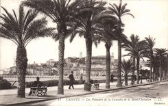 CPA CANNES les palmiers de la croisette et le mont chevalier 