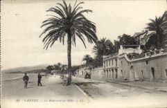 CPA CANNES Le Boulevard du Midi 