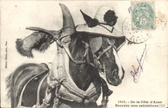 CPA De la cote d’azur recevez mes salutations cheval