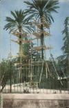 CPA Nice Toilette des Palmiers 