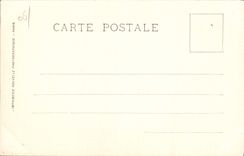 CPA NICE la bataille de fleurs 