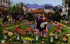 CPA Cote d'Azur fruits d'Or Oranges et Citrons 