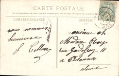 CPA Cannes entre les Pins 