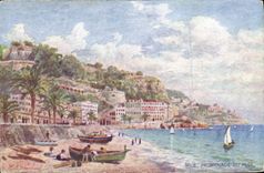 CPA Nice Promenade du Midi Bordee de magnifiques villas plantee de robustee palmiers et dominant la 