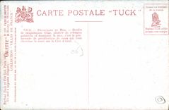 CPA Nice Promenade du Midi Bordee de magnifiques villas plantee de robustee palmiers et dominant la