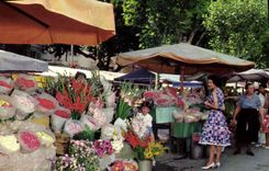 CPA Nice le Marche aux Fleurs 