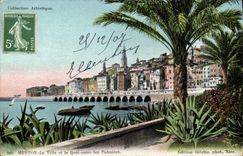 CPA Menton La Ville et le Quai entre les Palmiers 
