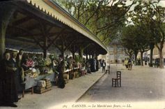 CPA Cannes Le Marché aux fleurs 